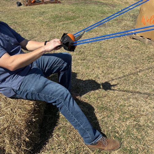 pumpkin slingshot pumpkin slingshot
